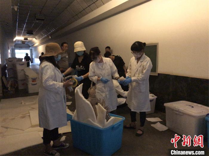 博物馆工作人员将文物打包装箱　王励为　摄