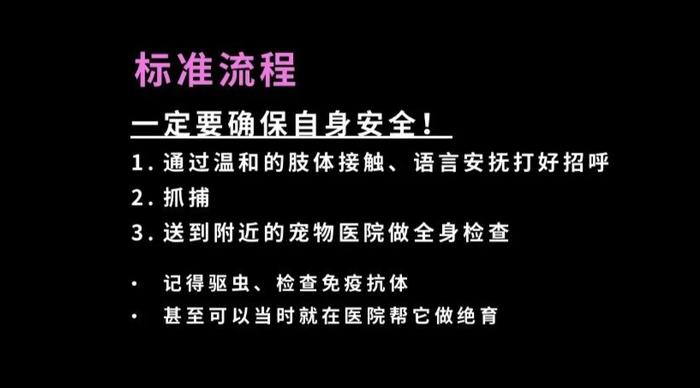 你能想象一个9平米的房间养了将近100只狗吗？| 陈嘉 一席第773位讲者