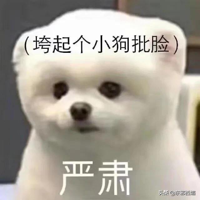 疯了还是病的不轻？脑子真是个好东西啊可惜他没有