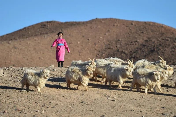 图片来源/新华社