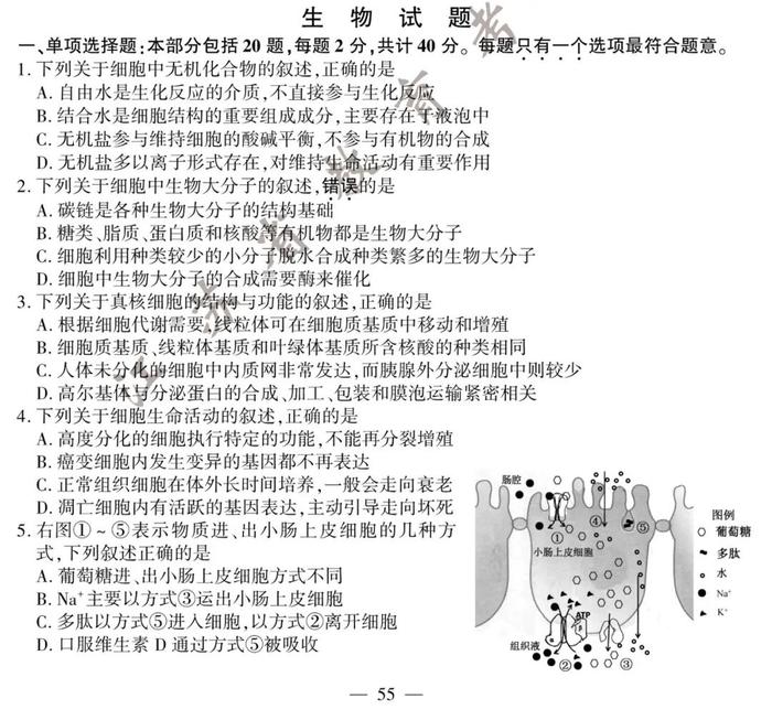 2020年江苏高考物理、化学、生物试题+参考答案