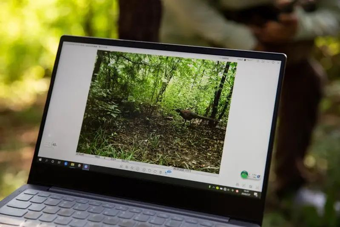  ▲红外相机导出的图像画面。新京报记者 李凯祥 摄