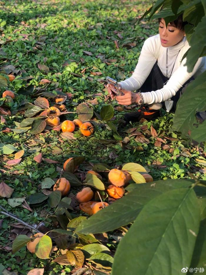 宁静：不要花时间去研究男人。