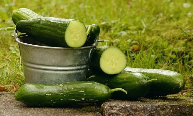 果蔬界的“补水冠军”，不是西瓜而是它！解暑还控糖，入伏要常吃