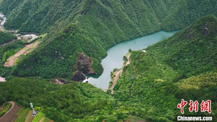 茶园美景 遂昌宣传部供图
