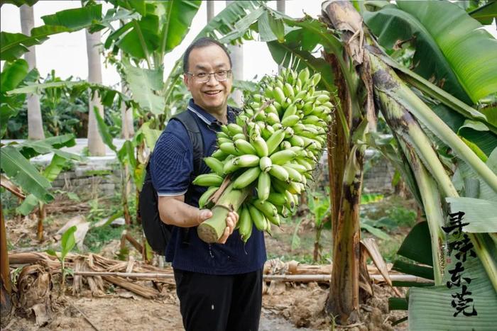 跟黑蜀黍去东莞：吃的真饱，学的真多！（内含全套吃喝攻略）