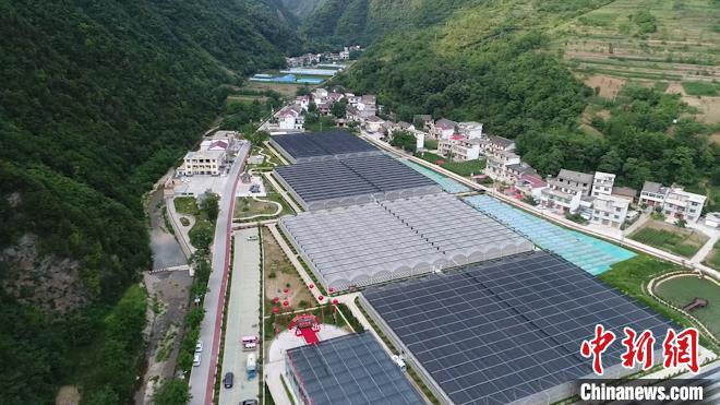 图为陕西省柞水县金米村木耳大棚。　梅镱泷 摄