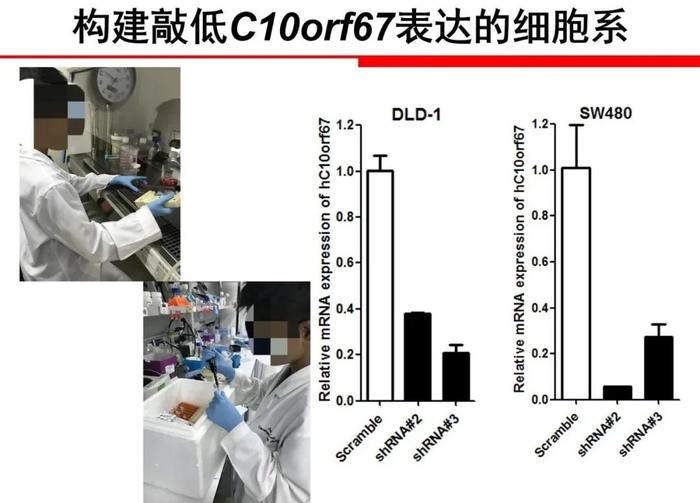 “小学生凭基因研究获大奖”，有多少博士父母的“功劳”？