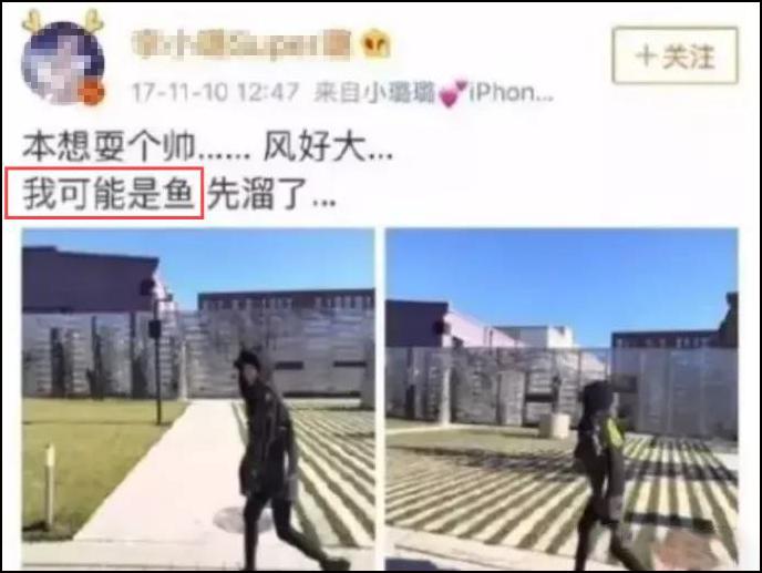 李小璐PGone压根没分手？！情侣纹身、隔空秀恩爱暴露真相！