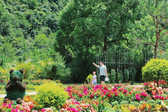 　　观音山国家森林公园里空气流动性好，富含负氧离子，相比封闭空间的景区更加安全、健康。陈景玉/摄