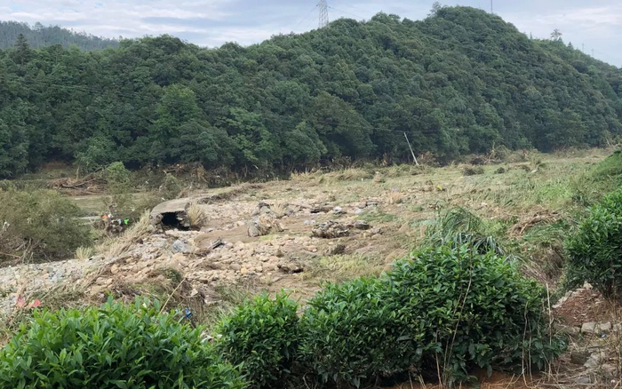 ▲被洪水冲过的农田。受访者供图