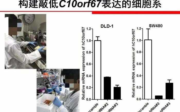 青少年科技创新不能“家长当裁缝，孩子穿新衣”