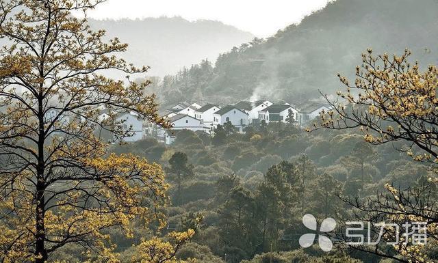 通安镇树山村入选第二批全国乡村旅游重点村