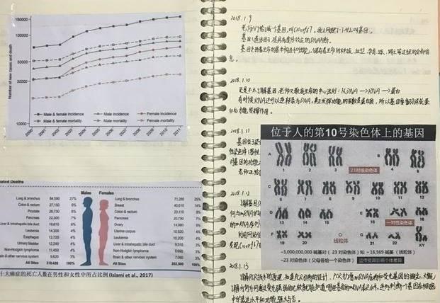 马上就评|小学生学术“走私”，科学比赛别变成“拼爹”赛