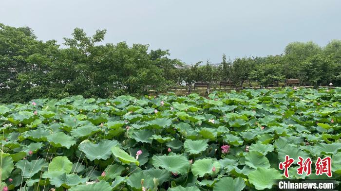 苦练“水上功夫”的浙江：从“求生存”到“求生态”