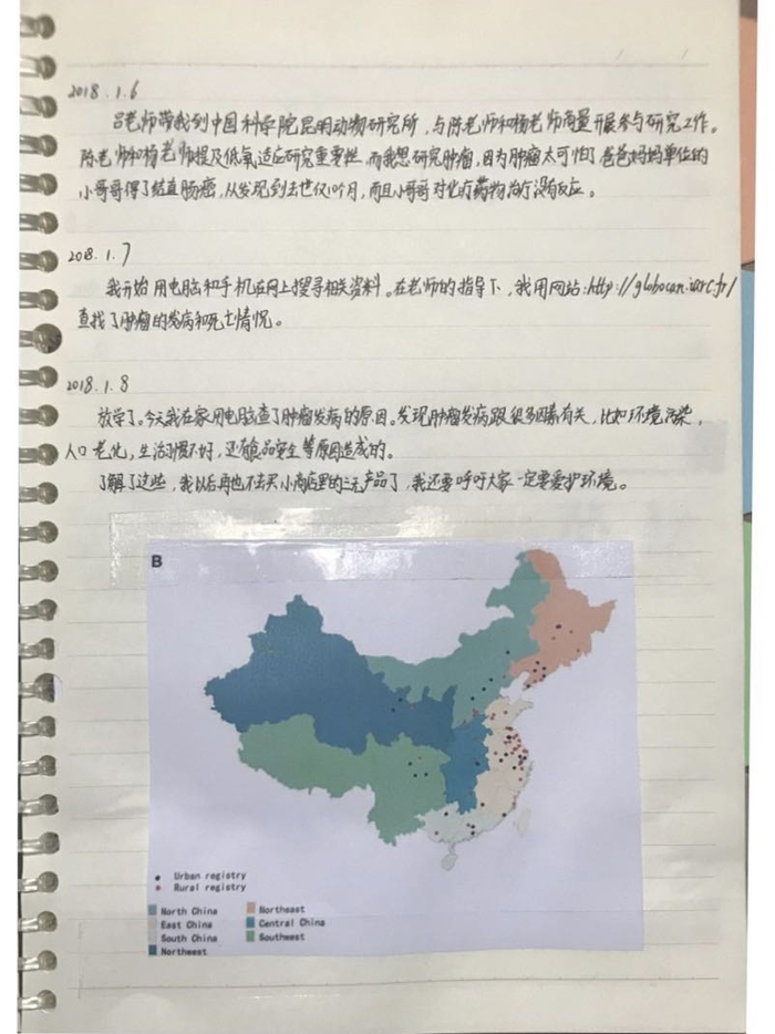 小学生研究癌症获奖者实验记录本