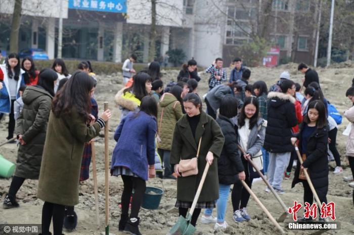 资料图：四川大学锦城学院的学生们便来到了学校农场边，这次他们的课程不是测量而是种田。图片来源：视觉中国
