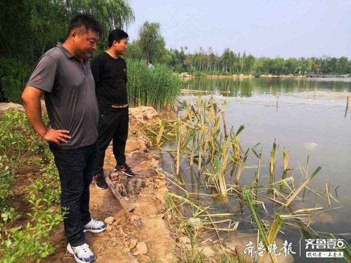 追踪|华山湖水质检测报告公布，排雨口氨氮数值超标近30倍