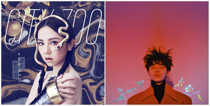 两张金曲奖提名“热门”专辑。