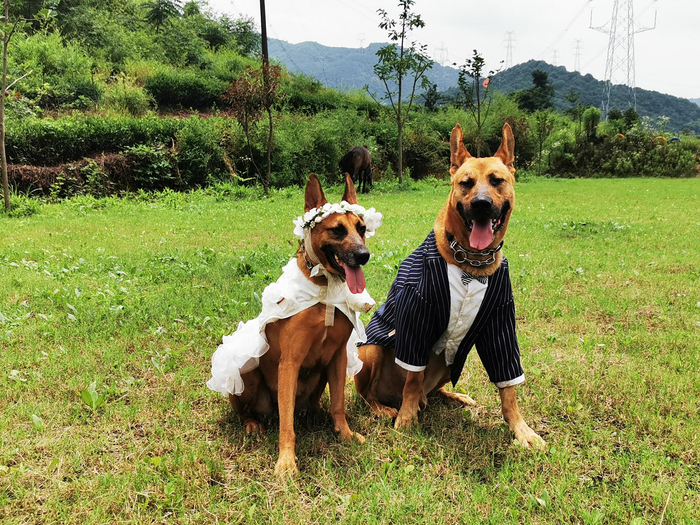 科尼（左）和小龙（右）的婚纱照&nbsp; &nbsp;本文图片均为受访者提供