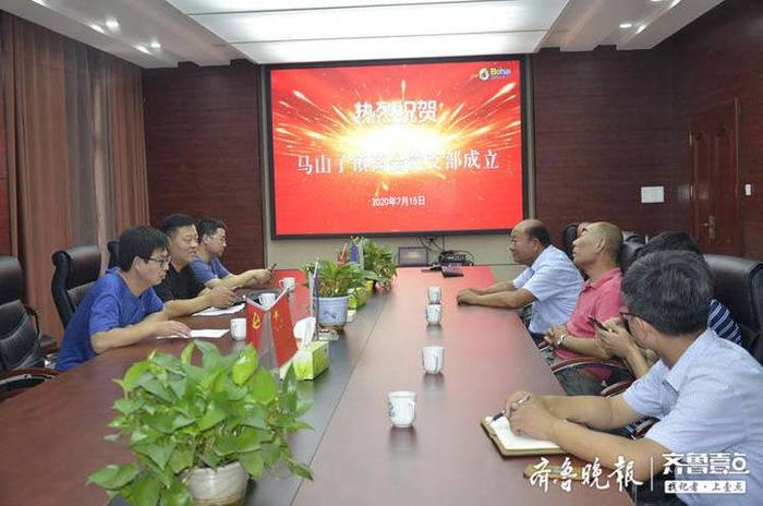 无棣县马山子镇商会党支部成立 形成经济发展新合力