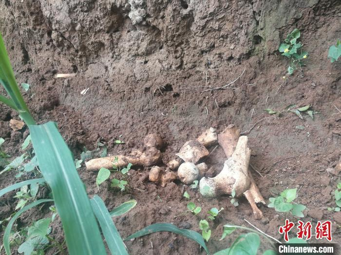 尸骨坑。　李吉毅 摄