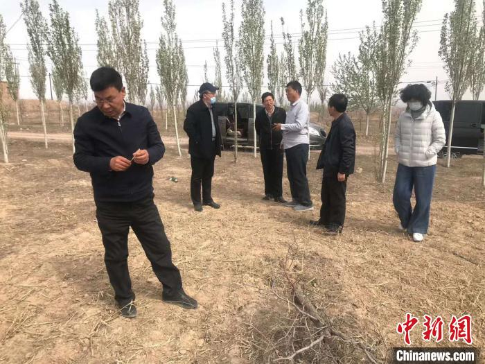 姚建民(左一)在宁夏调研。姚建民供图