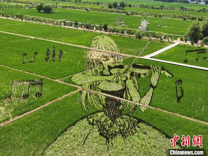 稻田画。稻梦空间供图