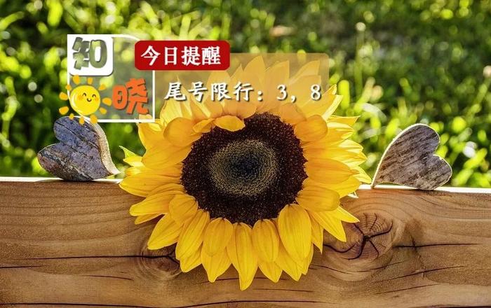 知晓 | 25~33℃，今日入伏！205套共有产权房面向西城区申购！本月起上调最低生活保障标准！