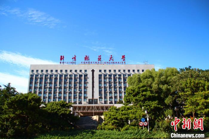 北京林业大学 杨勇 摄