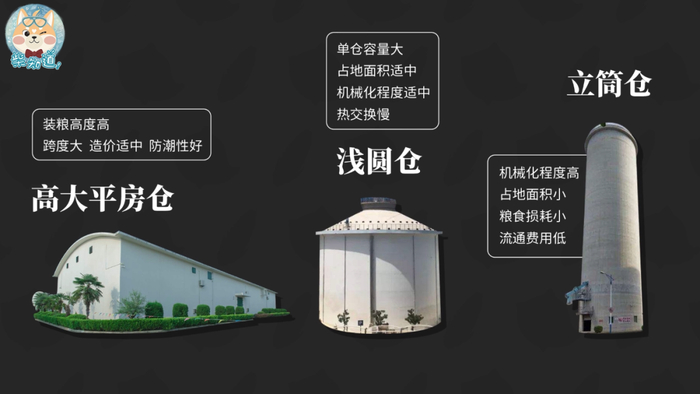 如何为14亿人储备粮食?中国的储备粮够吃多久? | 图文