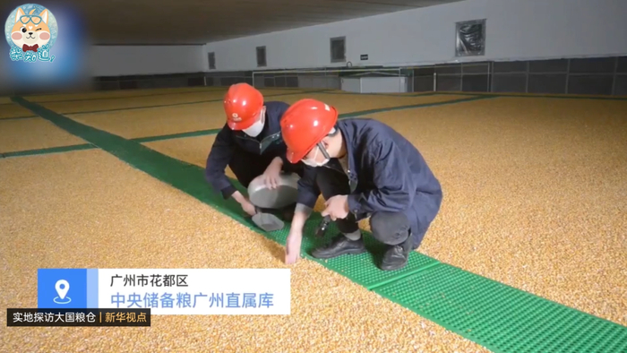 如何为14亿人储备粮食?中国的储备粮够吃多久? | 图文
