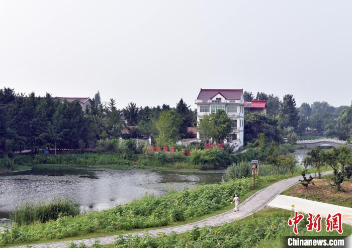 沂河西侧大堤旁的授贤村，一栋栋造型独特的别墅掩映在万亩银杏林海中。　朱志庚 摄
