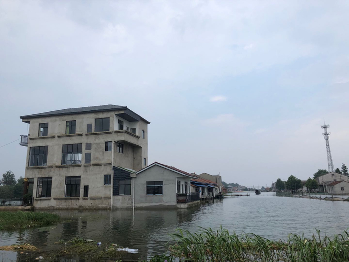 因洪湖水位上涨，阳财湖村的房屋被水围困。远远望去，整排房屋就矗立在水中。本文图片&nbsp;澎湃新闻记者 陈绪厚 摄