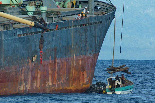 2015年，当地华人拍到了MIN FENG从海里吊红木的照片。