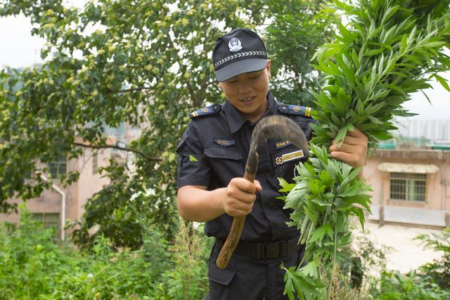 特殊时期的"幸福满分"！中天城投物业举办线上端午活动玩游戏、采艾叶、缝香囊，为业主送去"走心"祝福