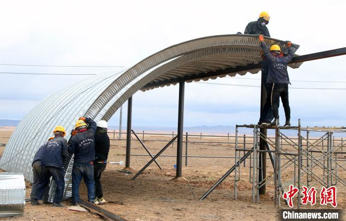 图为总投资20.6亿元的阿勒泰市万头牛育肥繁育基地正在开建。　孙亭文 摄