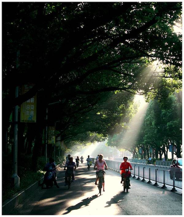 洪其标，《醉美江川路》， 2010