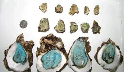 ▲图片来源网络