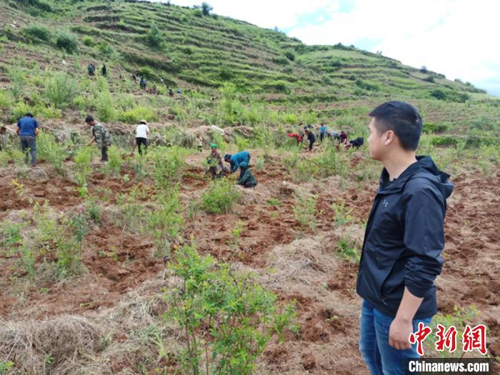 张弢指导当地村民种植中药材。内江市公安局 供图