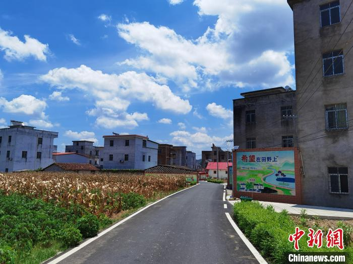 图为来宾市武宣县雅度屯村容风貌焕然一新。　杨陈 摄