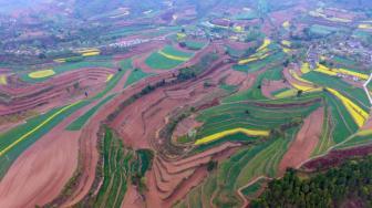 最高法：严格保护农民的土地承包权和流转土地经营权