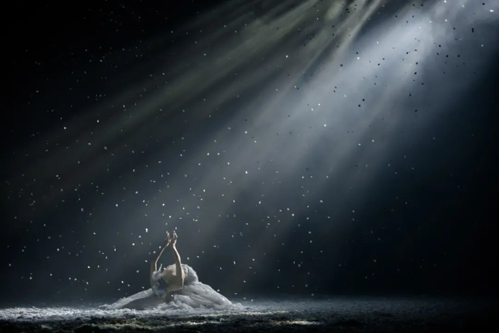 ▲杨丽萍表演舞剧《孔雀之冬》。受访者供图