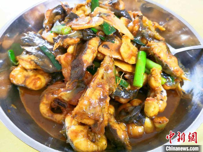 姜葱焖白鳝 李晓春 摄