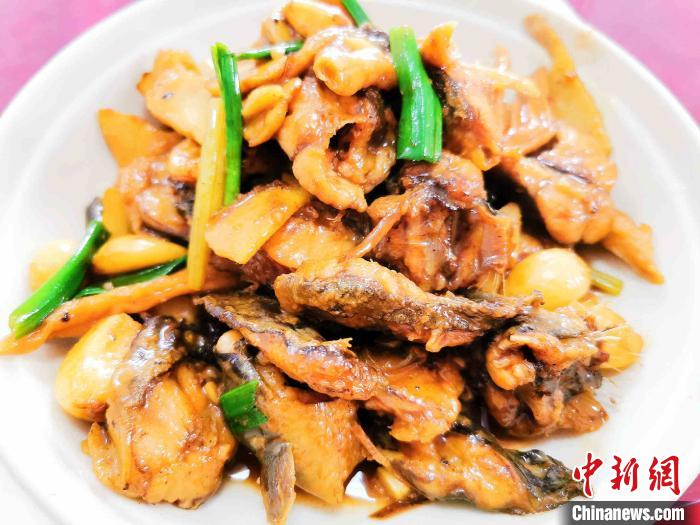 萝卜仔焖白鳝 李晓春 摄