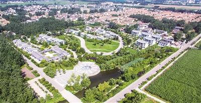  大屯街道的乡村新貌。