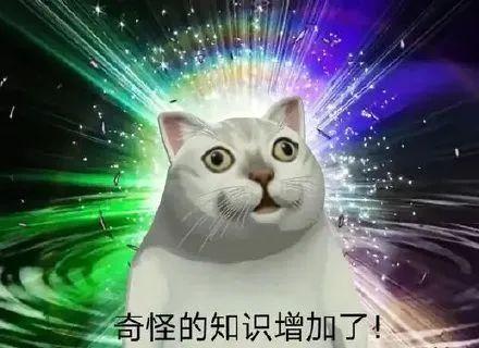 今日大事：微信团队又推出一波新表情包，网友：好大好黄！
