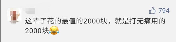 顺产痛还是剖腹产痛？妈妈们为此吵翻了