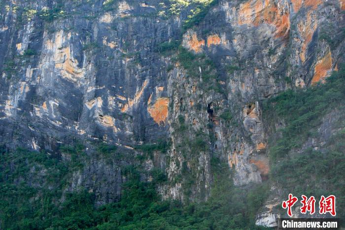 与常见的灰白黑喀斯特地貌不同的是，此地岩壁间以咖啡色、铁锈色等暖色，加之褶皱构造明显，远观如同印象派油画长卷。　王晓斌 摄