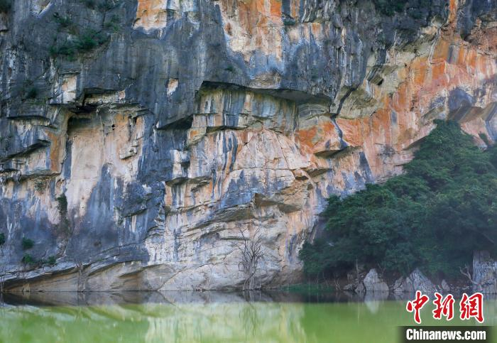 与常见的灰白黑喀斯特地貌不同的是，此地岩壁间以咖啡色、铁锈色等暖色，加之褶皱构造明显，远观如同印象派油画长卷。　王晓斌 摄